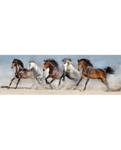 Caballos salvajes corriendo en polvo del desierto Caballos salvajes corriendo en polvo del desierto