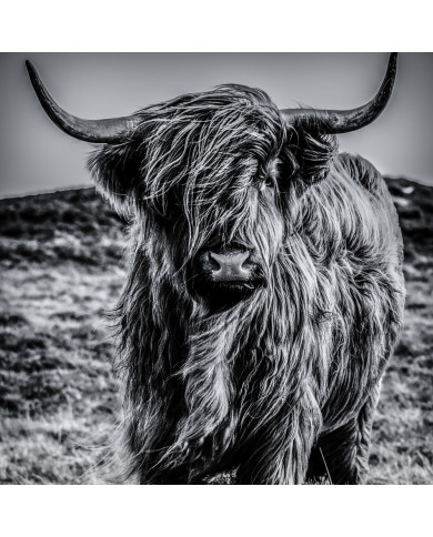 Highlands escocesa Highlands escocesa