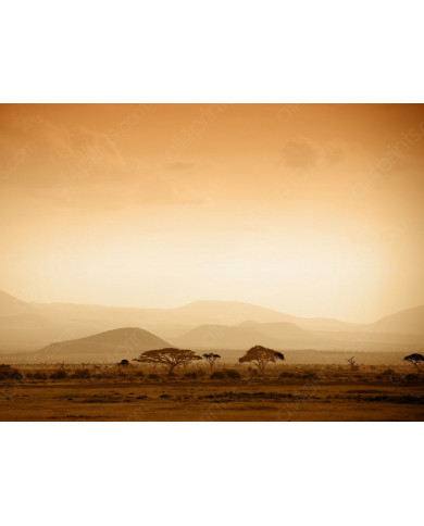 Amanecer en la sabana africana , Bostwana Amanecer en la sabana africana , Bostwana