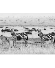 Bebé elefante con su madre, Parque Nacional Serengueti, Tanzania