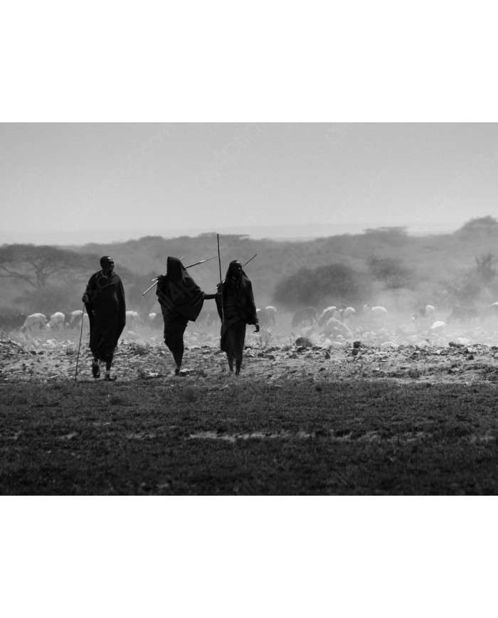 Maasai con su rebaño, Kenia