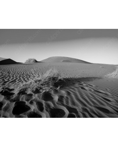 Paisaje de dunas, Namibia Paisaje de dunas, Namibia