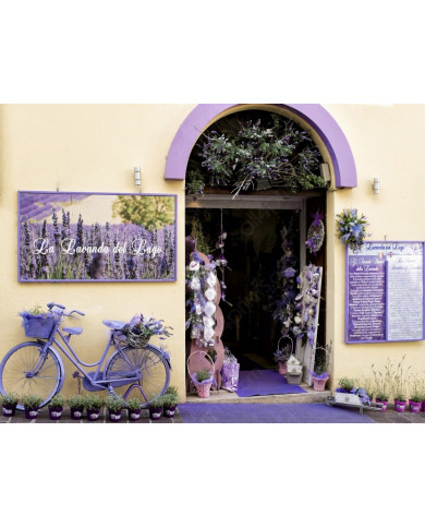 La lavanda del lago, Italia La lavanda del lago, Italia