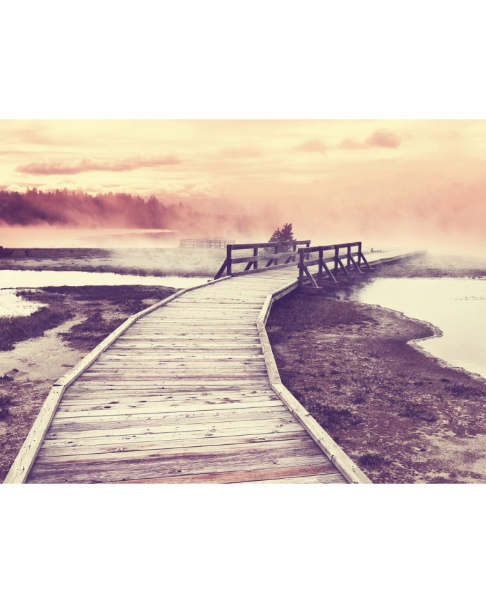 Parque de Yellowstone, USA