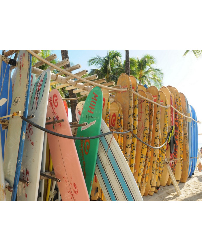 Tablas de surf, Hawai, USA