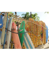Tablas de surf, Hawai, USA
