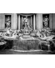 La Fontana de Trevi, Roma, Italia