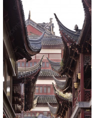 Chinatown, Shanghai, China