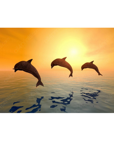 Delfines saltando Delfines saltando