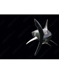 Defín en el mediterráneo