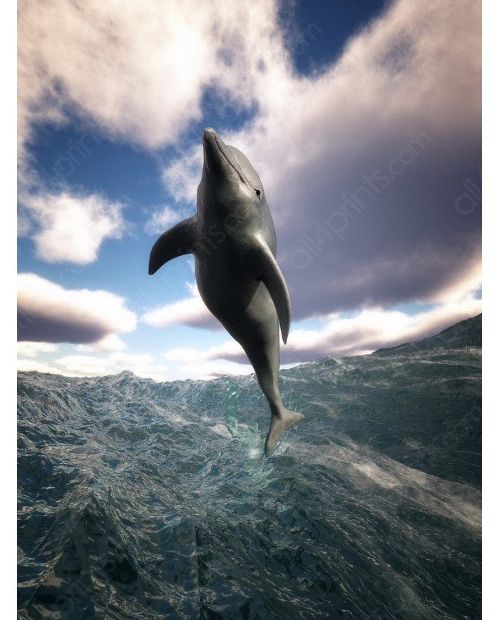 Defín en el mediterráneo