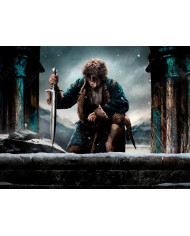 El Hobbit en la batalla de los 5 ejércitos