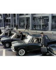 El señor de los anillos