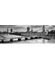 Star Wars,212th Attack Battalion