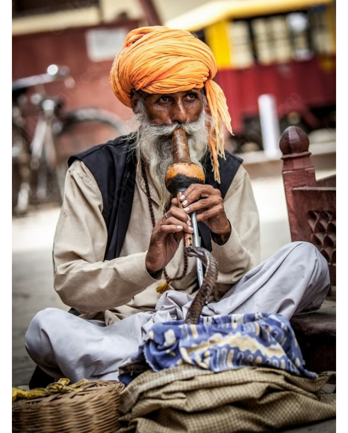 El encantador de serpientes,  India