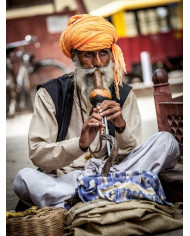 El encantador de serpientes,  India