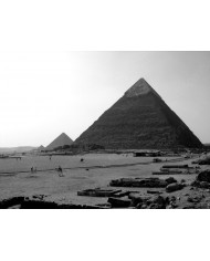 Gran garza blanca sobre un hipopótamo, Parque Nacional Etosha, Namibia