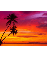 Playa tropical de jacó, Costa Rica