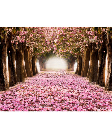 El tunel romántico de flores rosas El tunel romántico de flores rosas