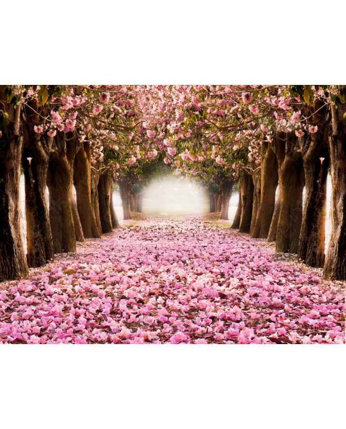El tunel romántico de flores rosas