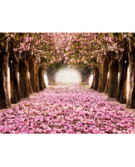 El tunel romántico de flores rosas