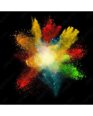 La explosión de la vida