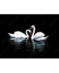 Monjes del monasterio de  Sera, Lhasa, Tibet