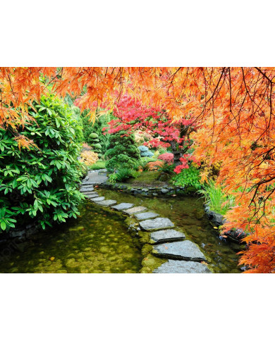 Jardín japononés Jardín japononés