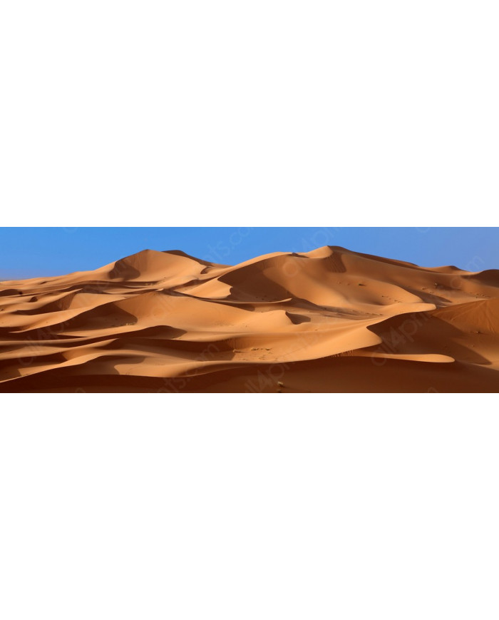 Desierto del Sahara