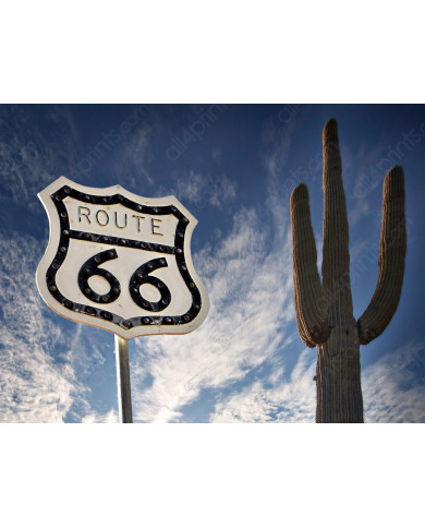 Ruta 66 con un cactus Saguaro, USA Ruta 66 con un cactus Saguaro, USA