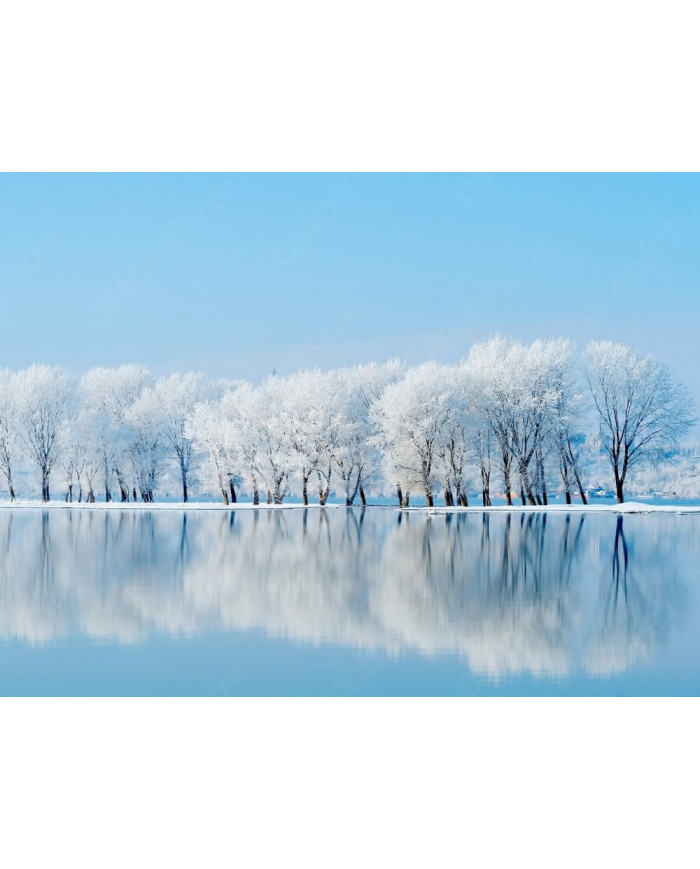Bosque en invierno, Siberia, Rusia
