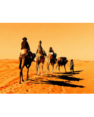 Cachorro de perro havanese