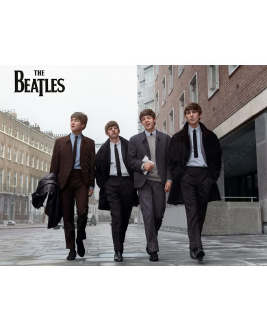 The Beatles The Beatles