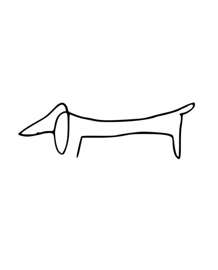 Picasso, The dog