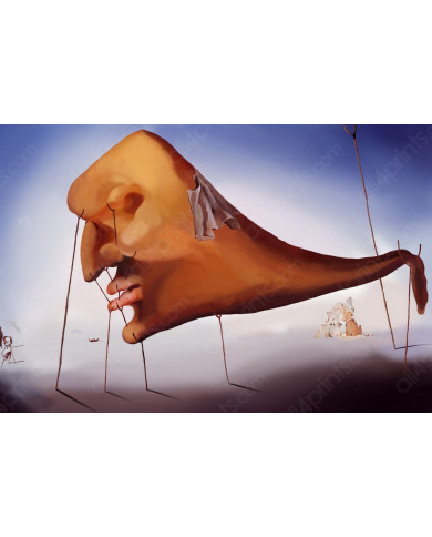 Dali, Sommeil Dali, Sommeil