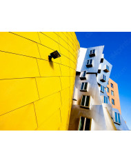 Frank Gehry Architecture