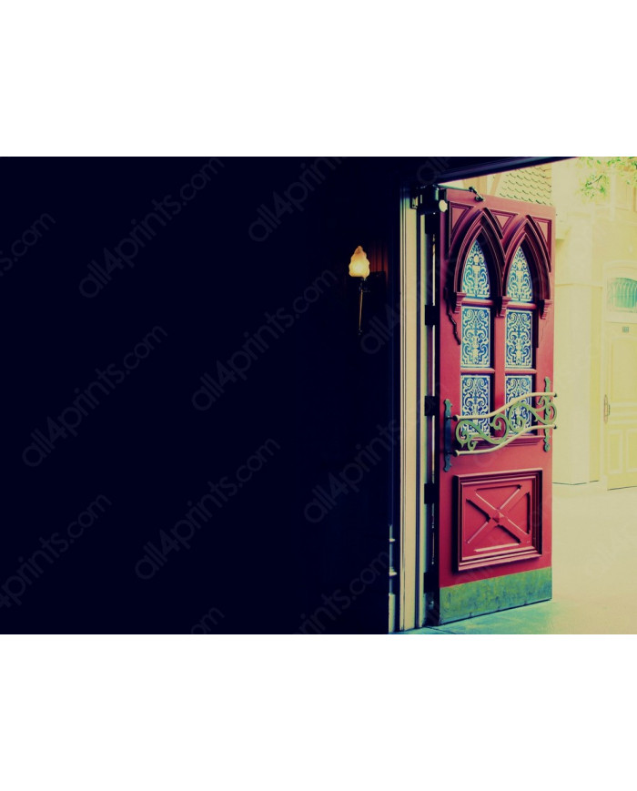 Detalle de una puerta, París, Francia