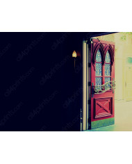 Detalle de una puerta, París, Francia