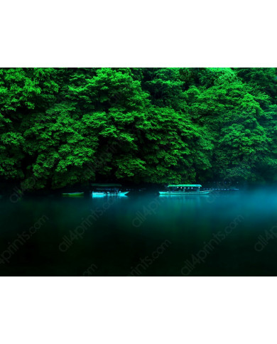Isla Honshum Japón Isla Honshum Japón