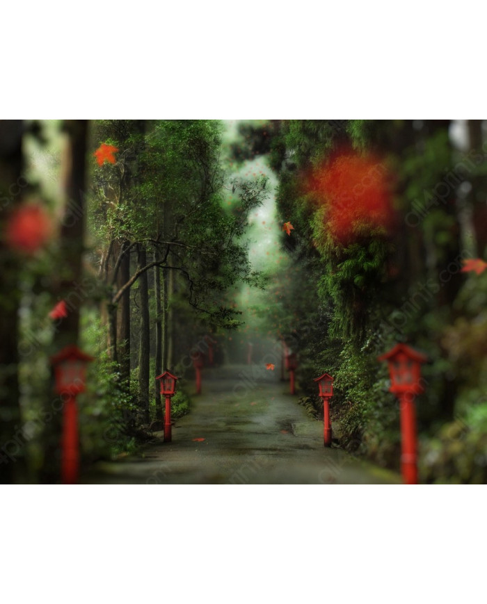 Camino del bosque, China