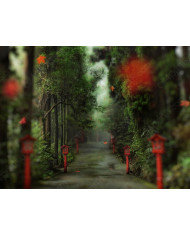 Barcas de pescadores, China