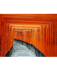 Migración  a través del río Mara, Kenia