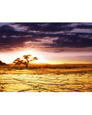 Parque Nacional Kruger, SudÁfrica