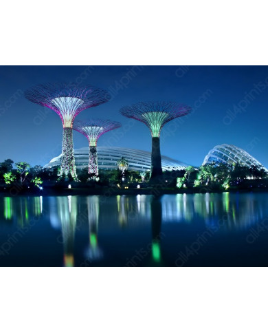Gardens by the bay, Singapur Gardens by the bay, Singapur