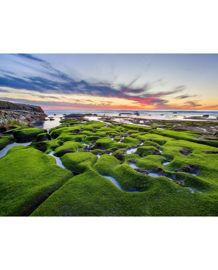 Costa de la Joya, California, USA