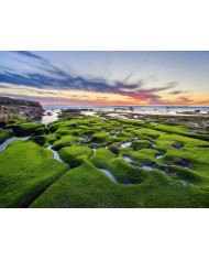 Costa de la Joya, California, USA