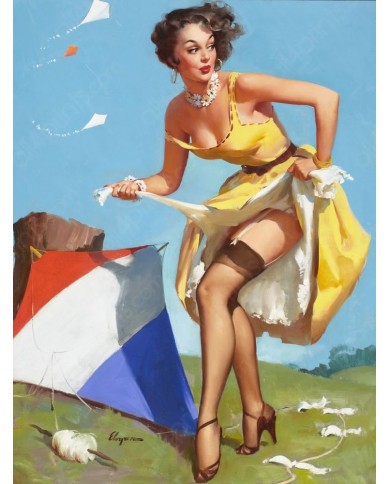 Pin up girl Pin up girl
