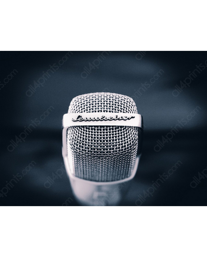 El micrófono de nuestras vidas