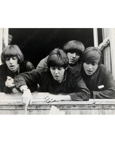 The Beatles The Beatles