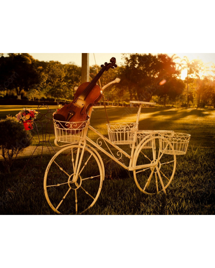 Bicicleta con violín